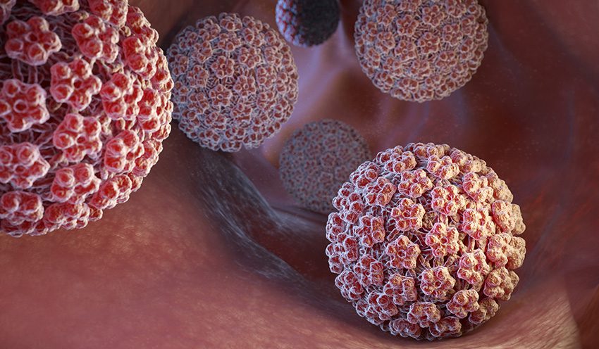 Ihmisen papilloomavirus (HPV)